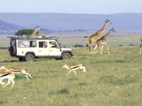 Nairobi/Mara