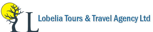 Lobelia Tours and Travel logo
