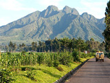Arrival and Transfer to Musanze