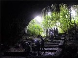 Musanze Cave and the Sacred Forest