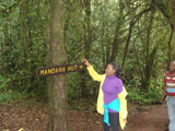 MANDARA HUT
