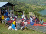 Kinunu Coffee washing station