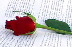 llibre i rosa de sant jordi Rosa llibre sant jordi