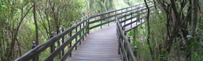 Boardwalk to the Hippo Bar at Keekorok Lodge