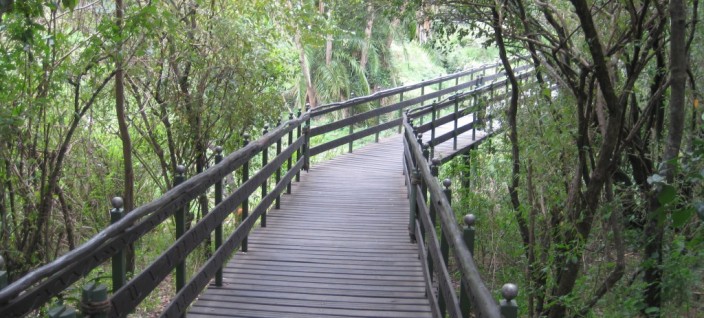 Boardwalk to the Hippo Bar at Keekorok Lodge