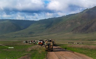 Cheetah watchers - Ngorongoro Crater