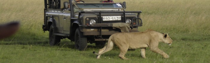 Family safari