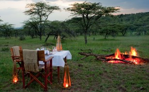 Honeymoon in the wild