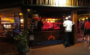 carnivore