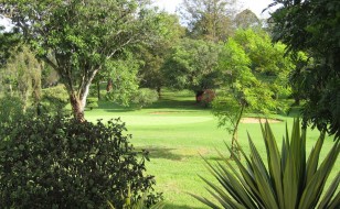 golf safari