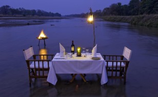 honeymoon safari