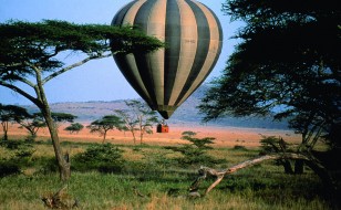 hot air baloon safari