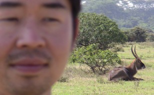 Tourist on safari