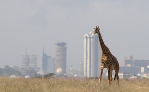 Nairobi National Park