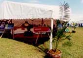 Tent with plant