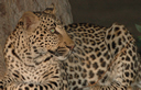 Lengwe National Park