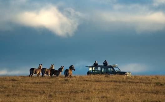 Nyika Park