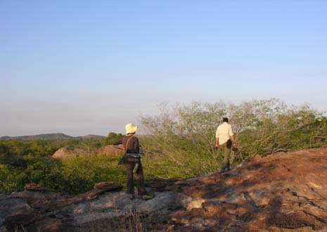 Chipembere & Migudu Camps     