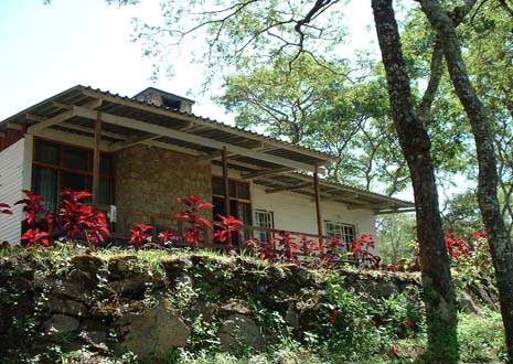 Dzalanyama Forest Lodge       