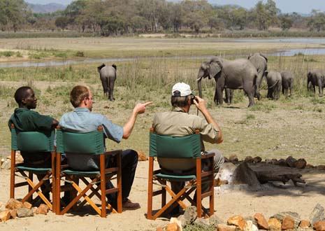 Kazuni Safari Camp            
