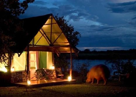 Mvuu Camp                     