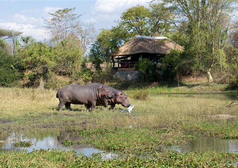 Mvuu Lodge                    