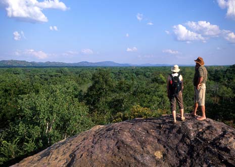 Njati Lodge                   