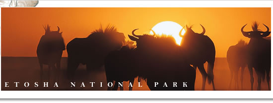 Etosha National Park