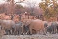 Waterhole