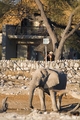 Waterhole