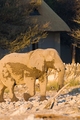 Waterhole