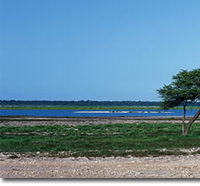 Etosha National Park