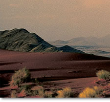 Desert Landscape