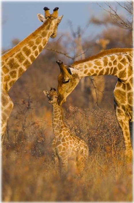 Family time