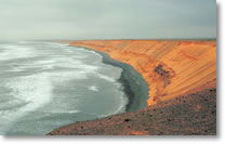 Skeleton Coast