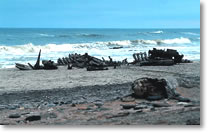 Skeleton Coast