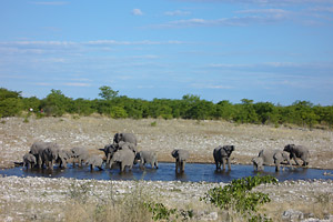 Etosha