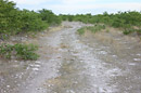 Etosha