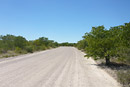 Etosha Roads