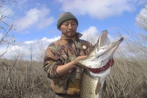 PY30.Siktyah and Olenek Rivers. Fishing and Rafting