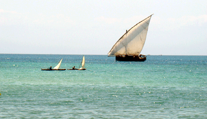 Zanzibar safaris