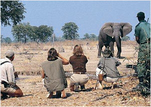 South Luangwa